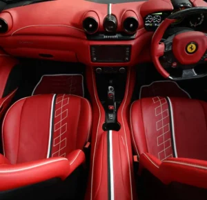 DSC_8049-compressed_Webpifier